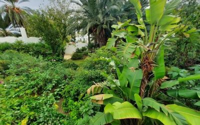 Third technical visit: The rebirth of an Andalusian nourishing garden